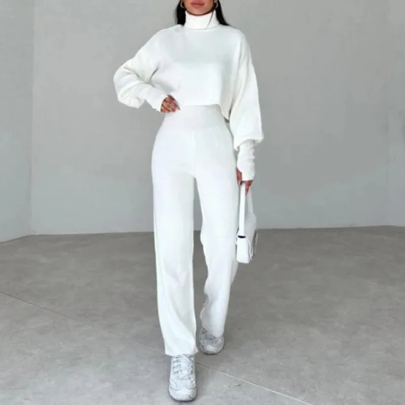 Turtleneck Crop Knitted Sweater Set