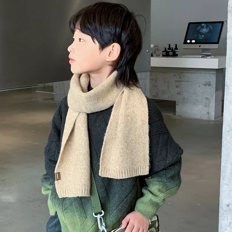 Boy Pullover Ombre Sweater
