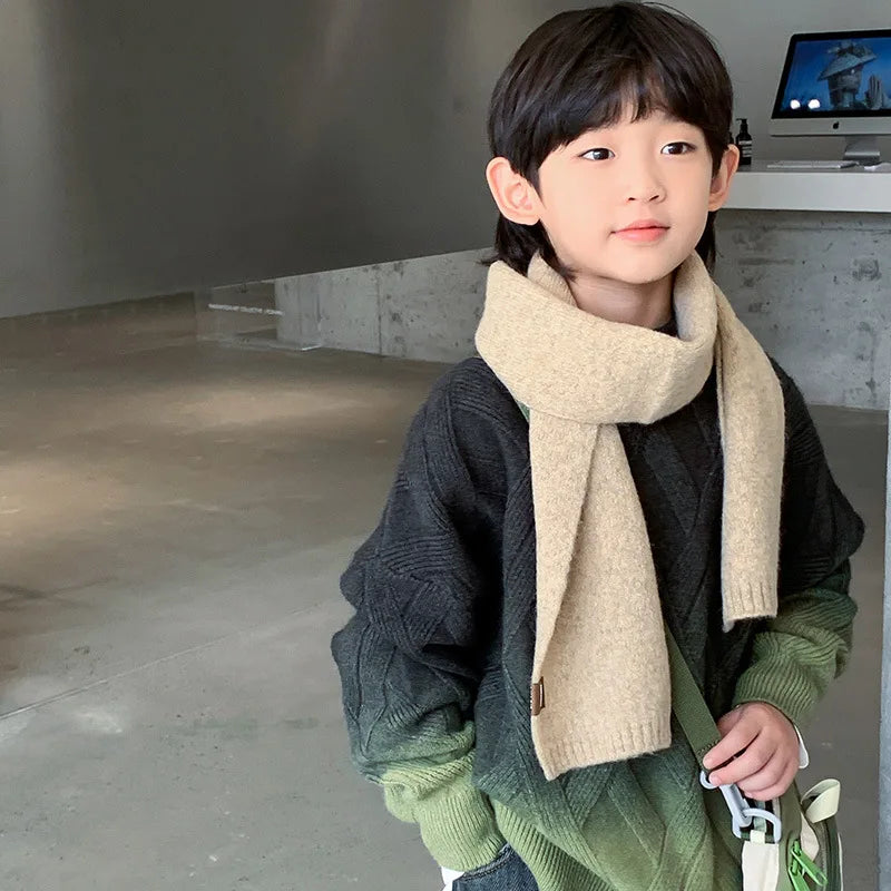 Boy Pullover Ombre Sweater
